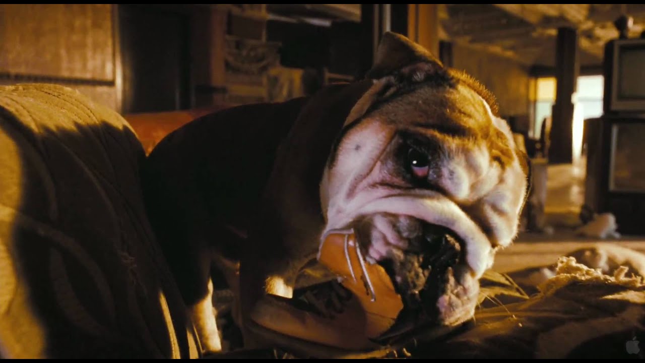 Hotel for Dogs (2009) - HD Trailer