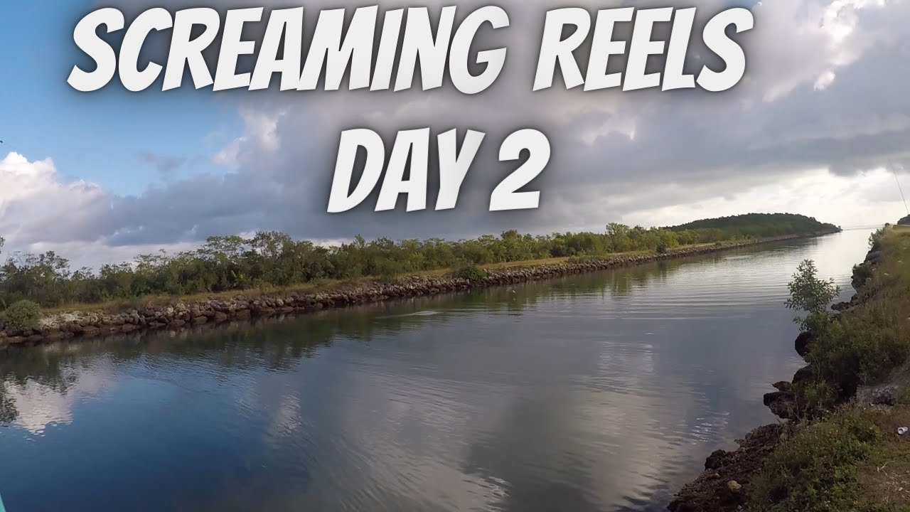 Drag Screaming BoneFish