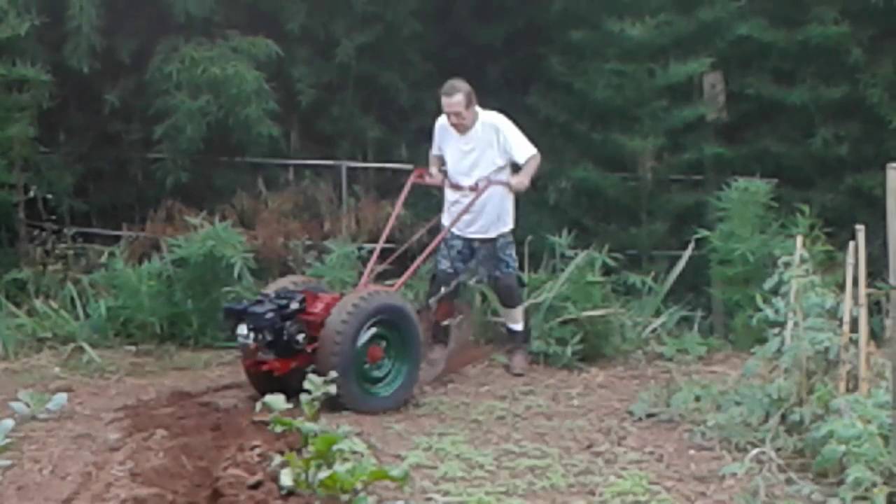 DENNIS' DAVID BRADLEY TRACTORS