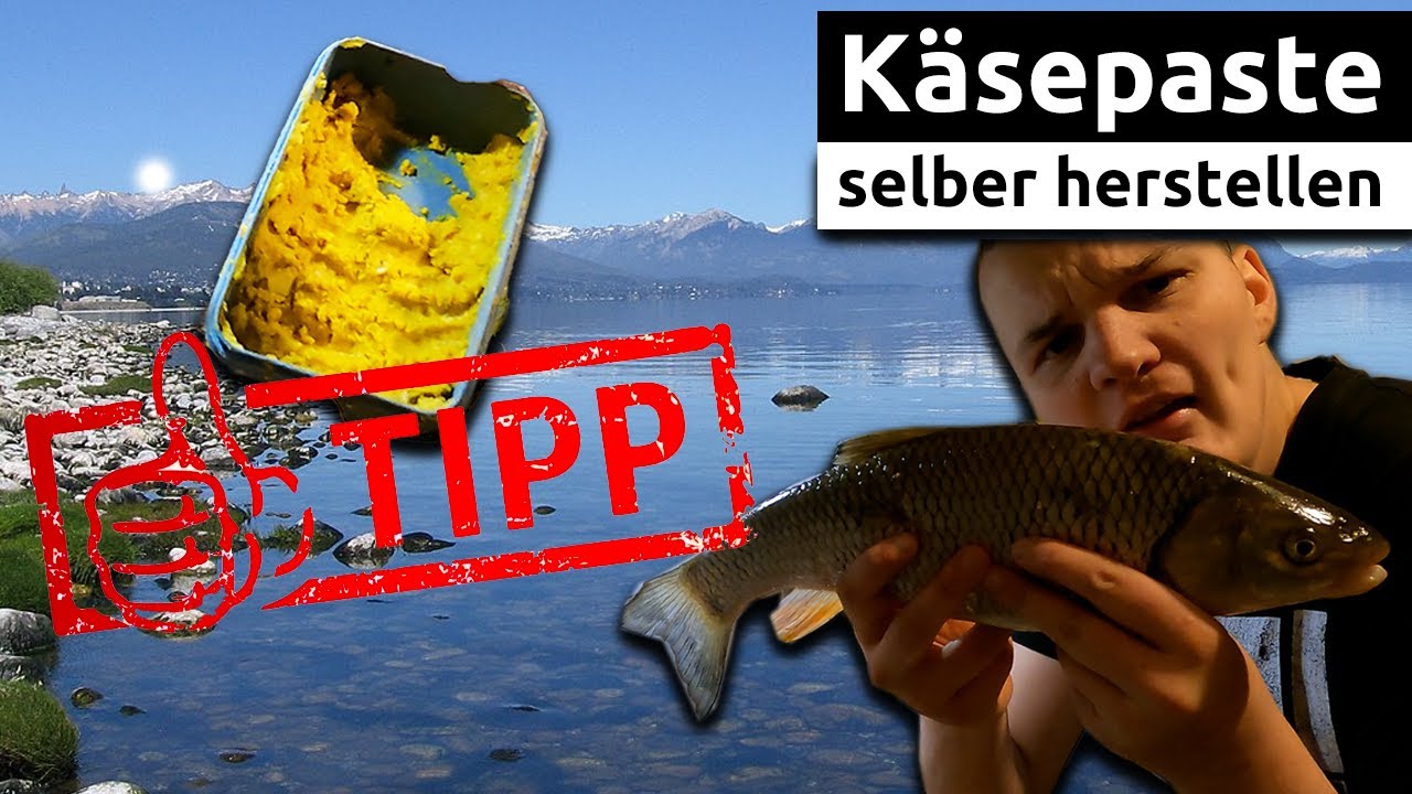 Der Perfekte Köder fürs Döbel angeln im Winter // Bisse sind fast garantiert //