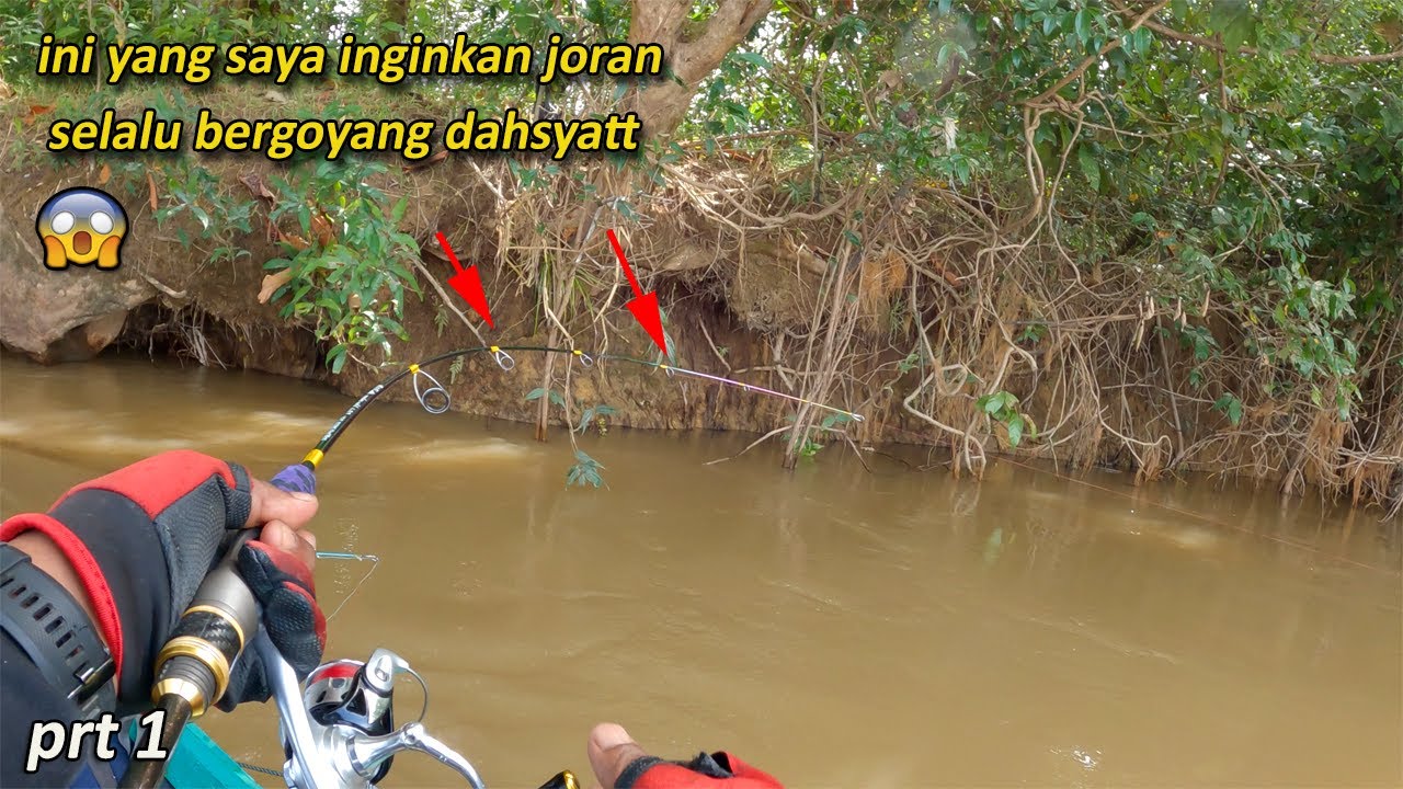 Mimpi apa saya kemarin pakai umpan Segacor ini ‼️ Mancing ikan Baung babon di sungai kalimantan