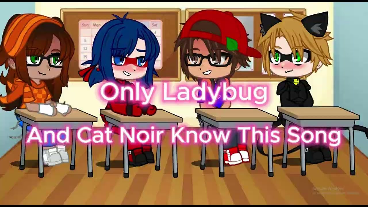 Only LadyBug And Cat Noir Know This Song