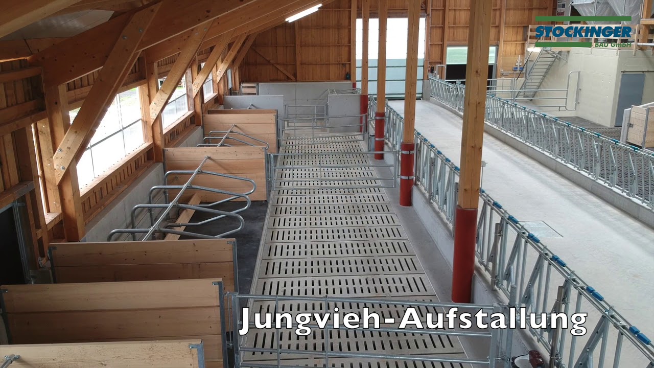 Rinderlaufstall Neubau
