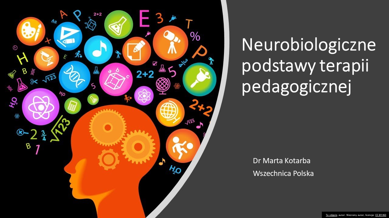 Neurobiologiczne podstawy terapii pedagogicznej