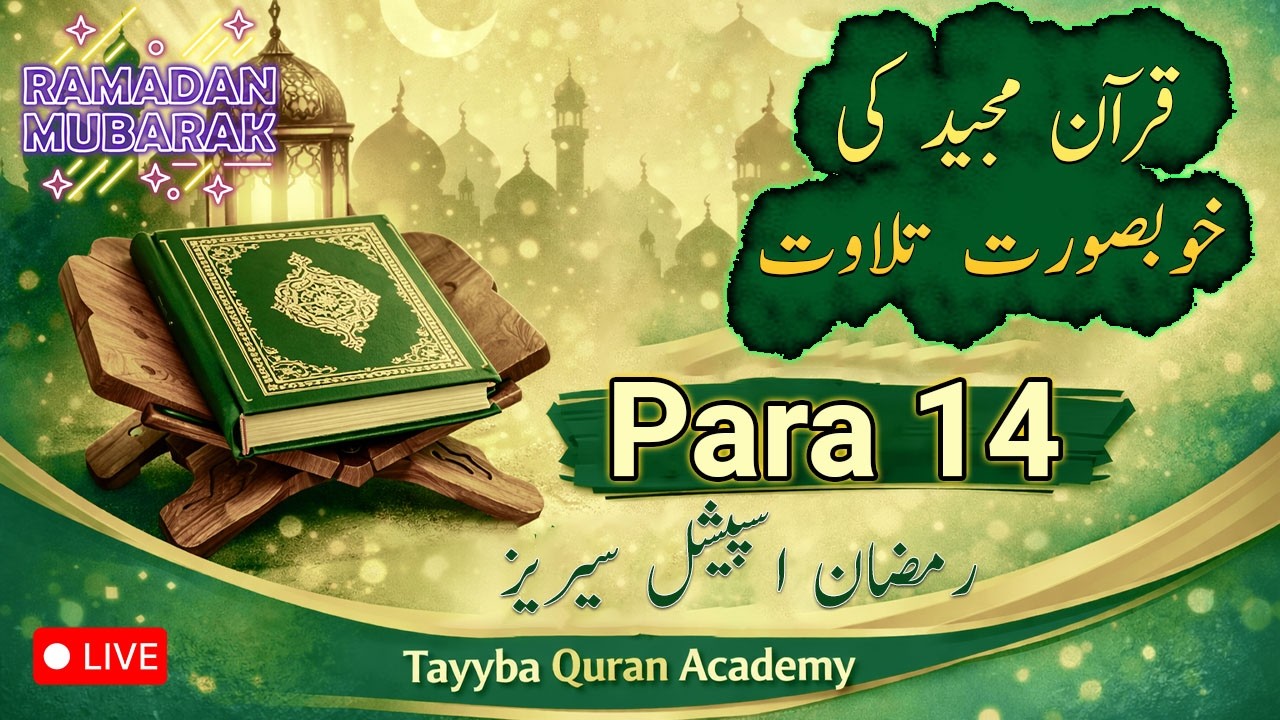 Tayyba Quran Academy is live!