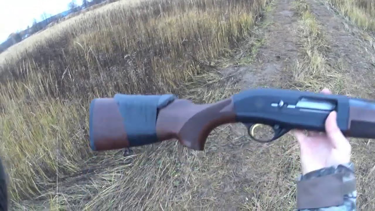 Beretta и Benelli бьют криво и хуже МР-155 ??? Открытая или закрытая планка???