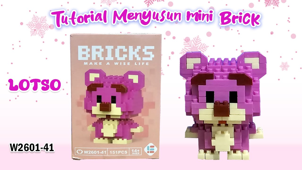 HOW TO BUILD NANO BLOCKS MINI LEGO BRICKS MAKE A WISE LIFE W2601-41 LOTSO