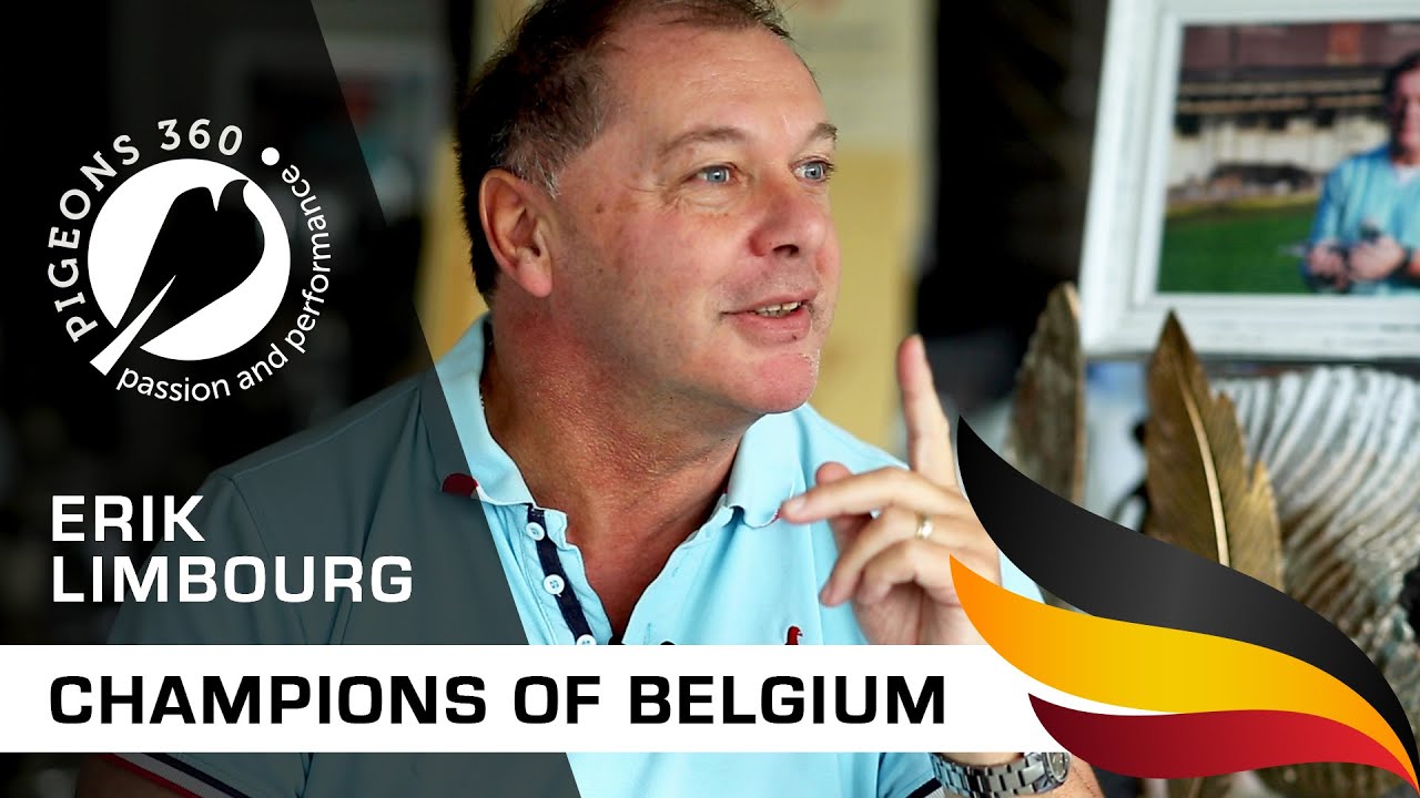 Champions of Belgium - Erik Limbourg - Top Pigeon Fancier