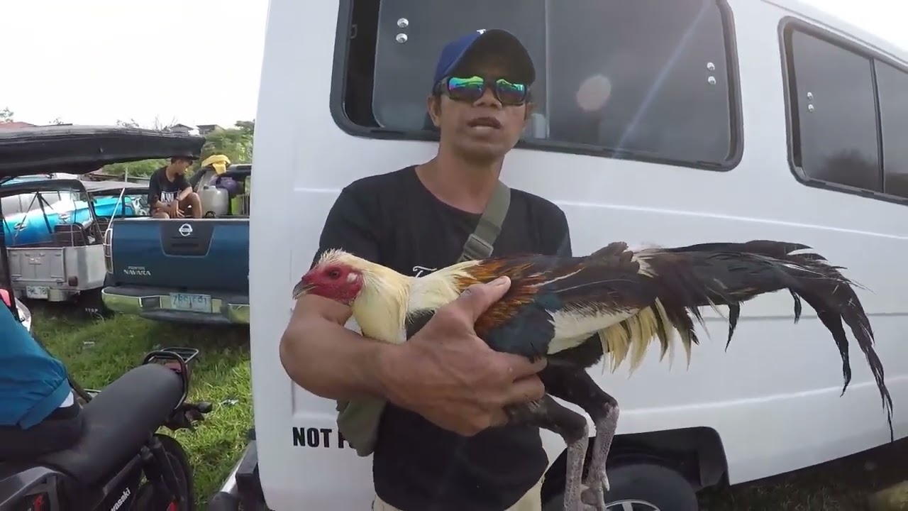tatay alfredo! isa sa mga nagsimulang seller sa bocaue ng manok!.