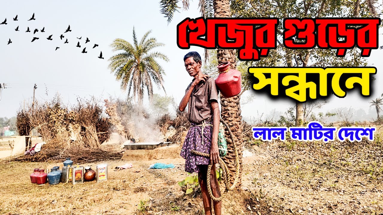 কুয়াশার ভেতর খেজুর গুড়ের সন্ধানে | bong Jatrir Dairy | Winter Special Date Palm Jaggery