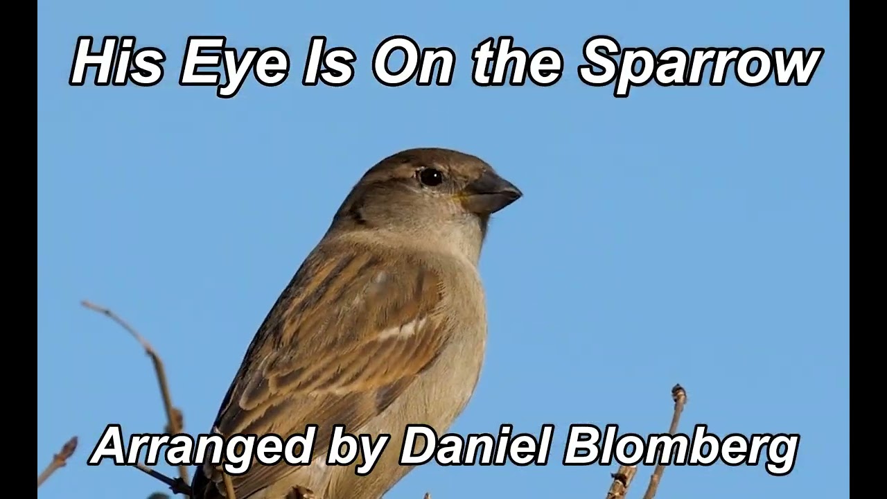 HIS EYE IS ON THE SPARROW - Advanced piano solo by Daniel Blomberg - Official Audio