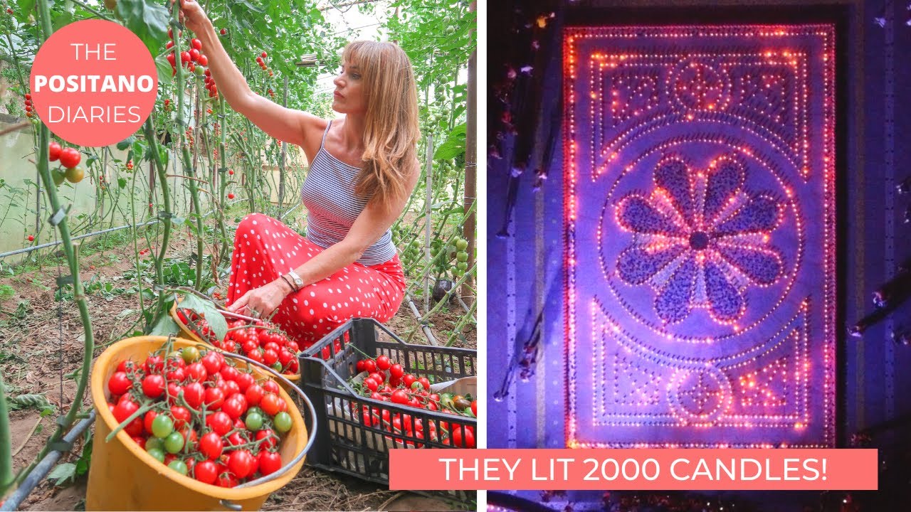 STUNNING ITALIAN CANDLE FESTIVAL & MAKING TOMATO SAUCE| |
