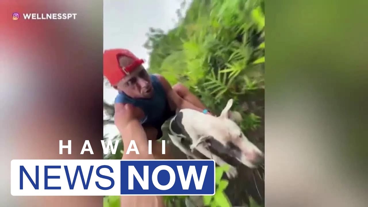 Hiker rescues lost, injured dog 1,000 feet up on dangerous Oahu trail