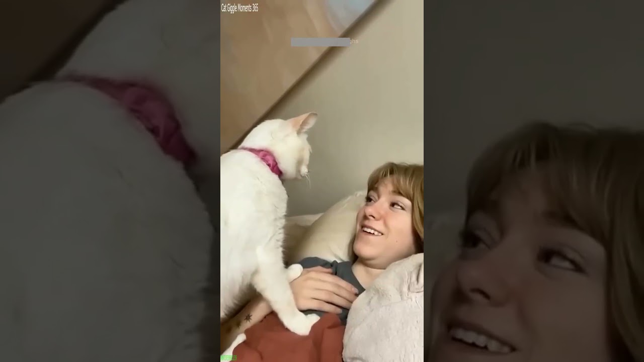 Funny Cats 2025 🐕 Funny Cat Videos 🐱 # Part 8476