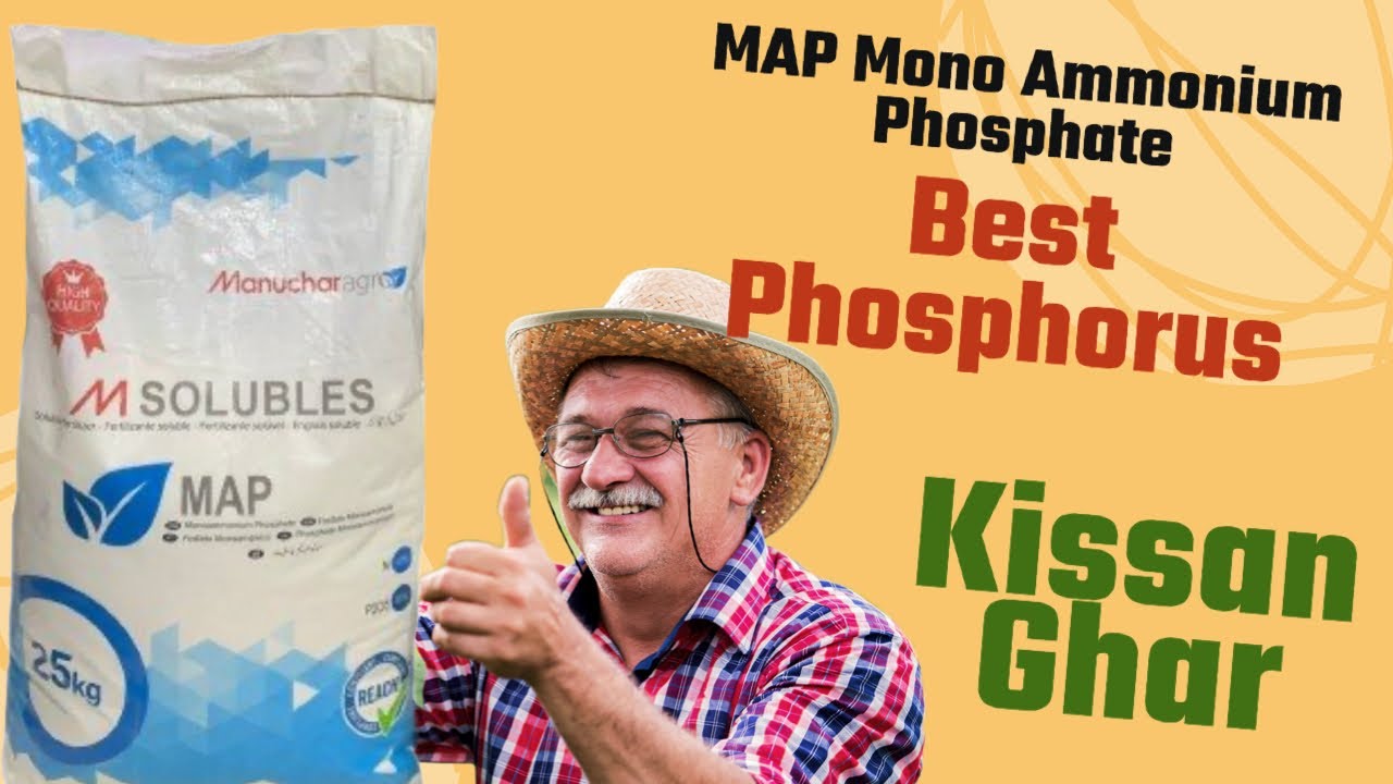 Best Phosphorus | MAP Mono Ammonium Phosphate | Manuachar Agro | Usage And Benefits | Kisan Ghar