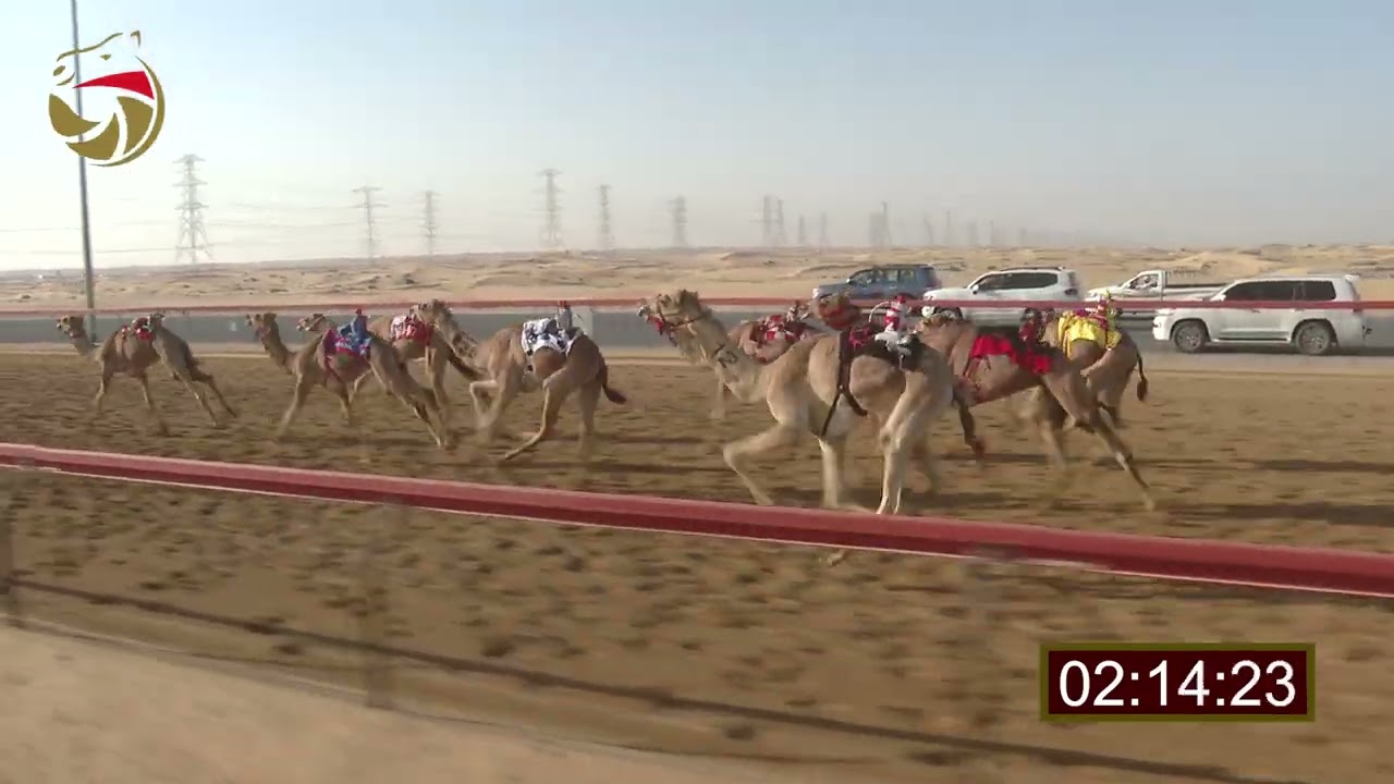 سباق الحقاقة &ndash; سيف العرب 30-01-2026 ش14 الفهد لـ سيف مبارك سيف الكتبي  5:57