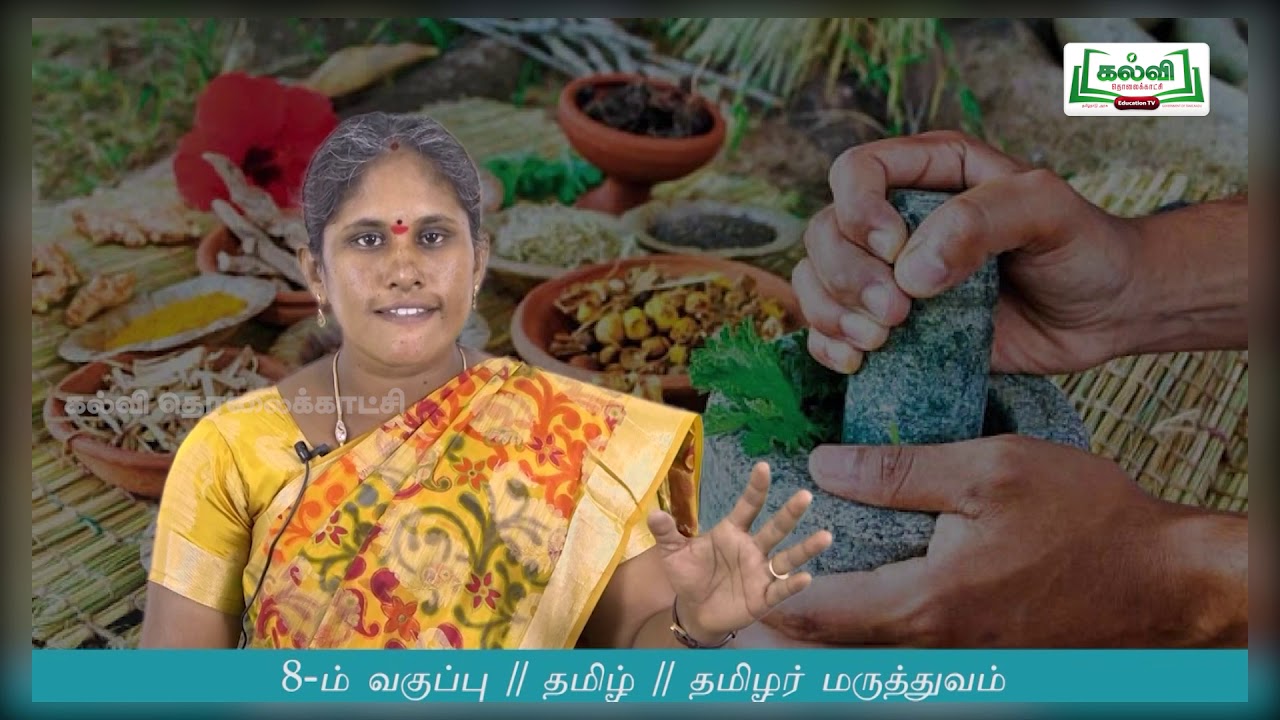 Class 8 | வகுப்பு 8 | தமிழ் | தமிழர் மருத்துவம் |இயல் 3 | பகுதி 3| KalviTv