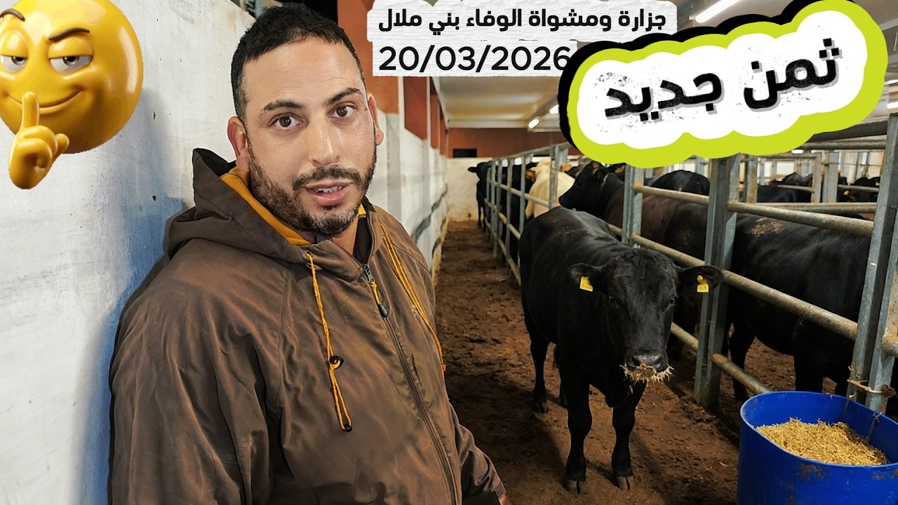 ثمن جديد لحم البقري المستورد جزارة ومشواة الوفاء بني ملال 20/03/2026