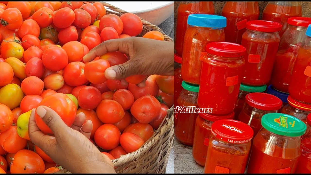 Tomates pelées et Purée de tomates pour toute l’année. Sans frigo, sans conservateur.