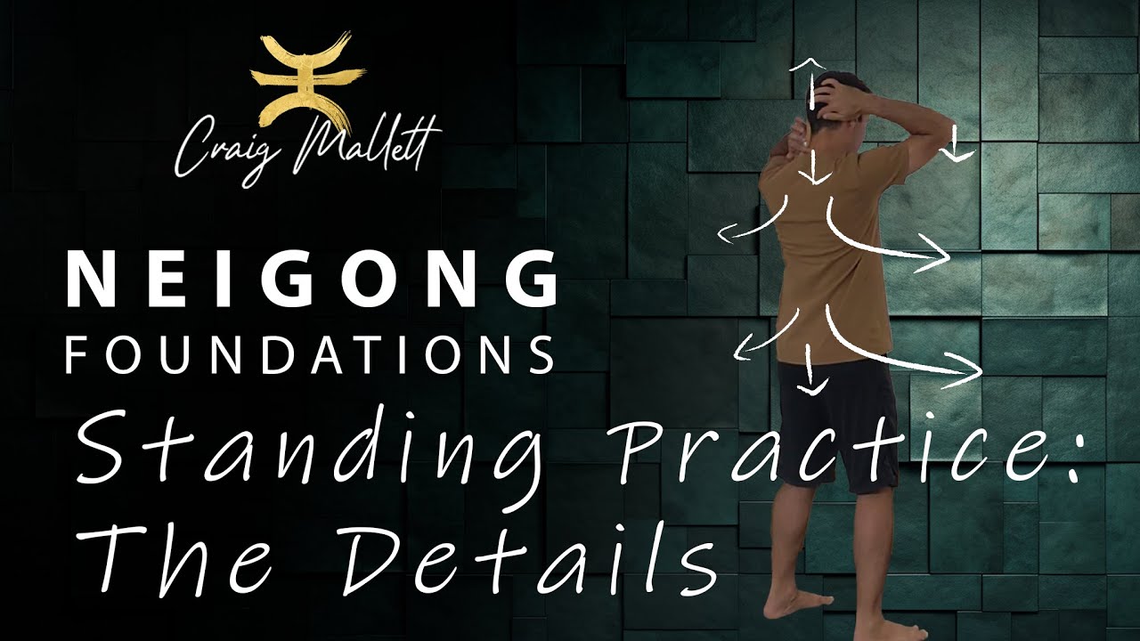 Standing Practice Part 1 -  Intro and Alignment Points Details