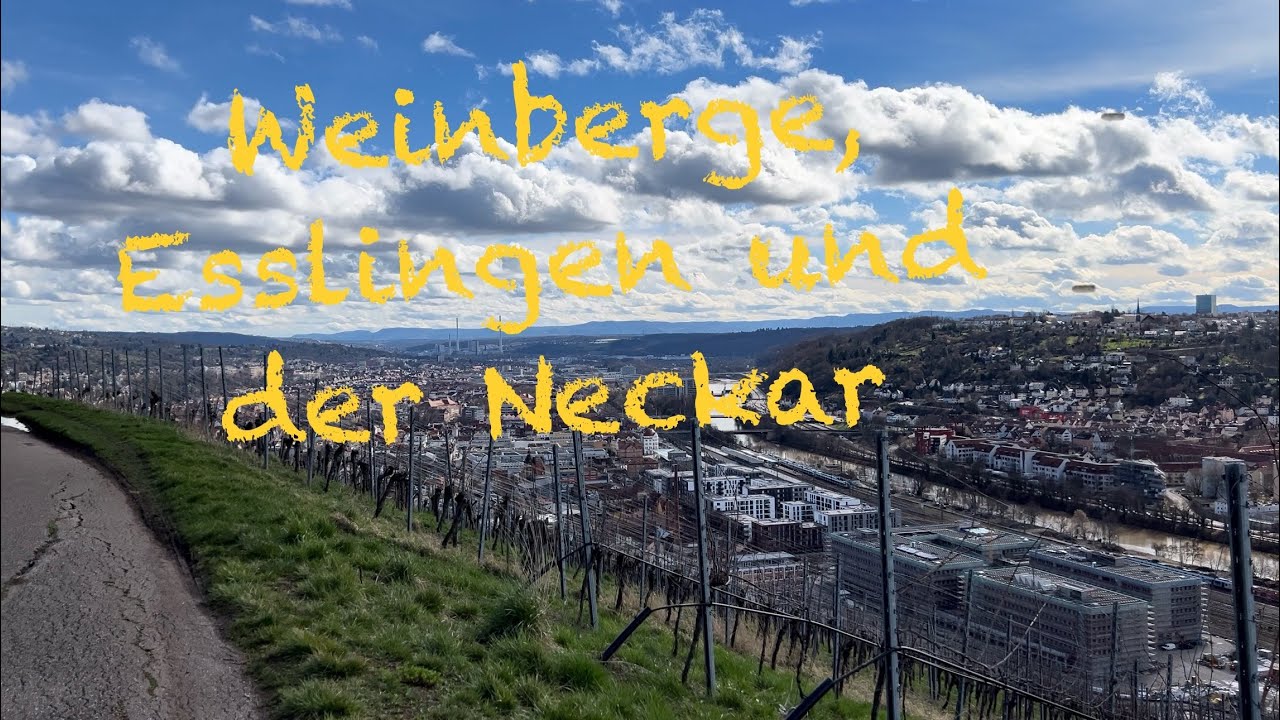 Weinberge, Esslingen und der Neckar. Zu Fuß von Stuttgart (Obertürkheim) nach Esslingen (Zell)