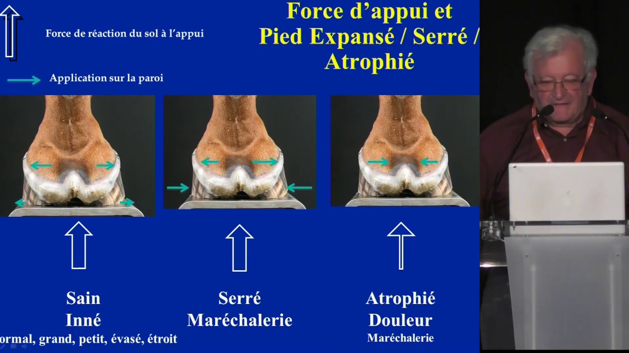 Francis Desbrosse - équi-meeting maréchalerie 17 - Pieds serrés : Petits? Reserrés ? Atrophiés ?