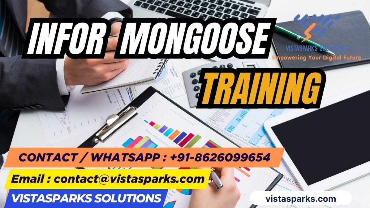Infor Mongoose Training | Application Development & ERP Customization