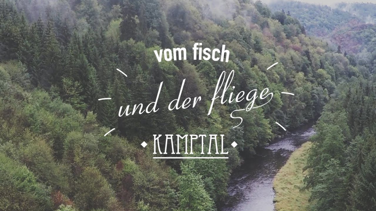 Vom Fisch und der Fliege - Kamptal