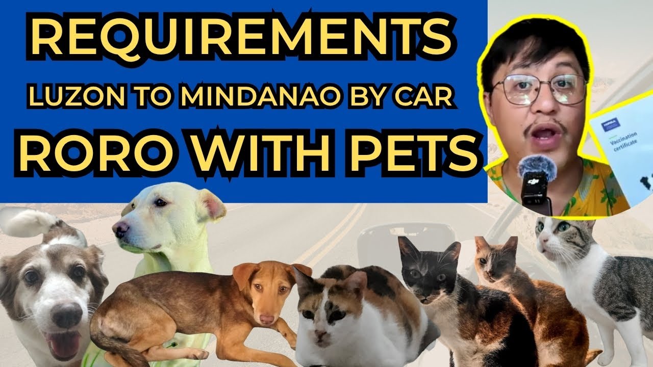 Land Travel from Luzon to Mindanao with Pets - Requirements sa RORO