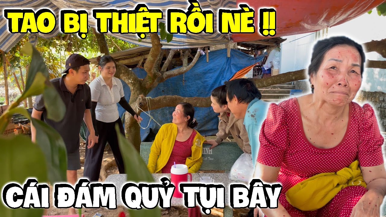 Ngủ Một Giấc Dì Hương Lại Bị Đám Báo Troll Nữa Rồi