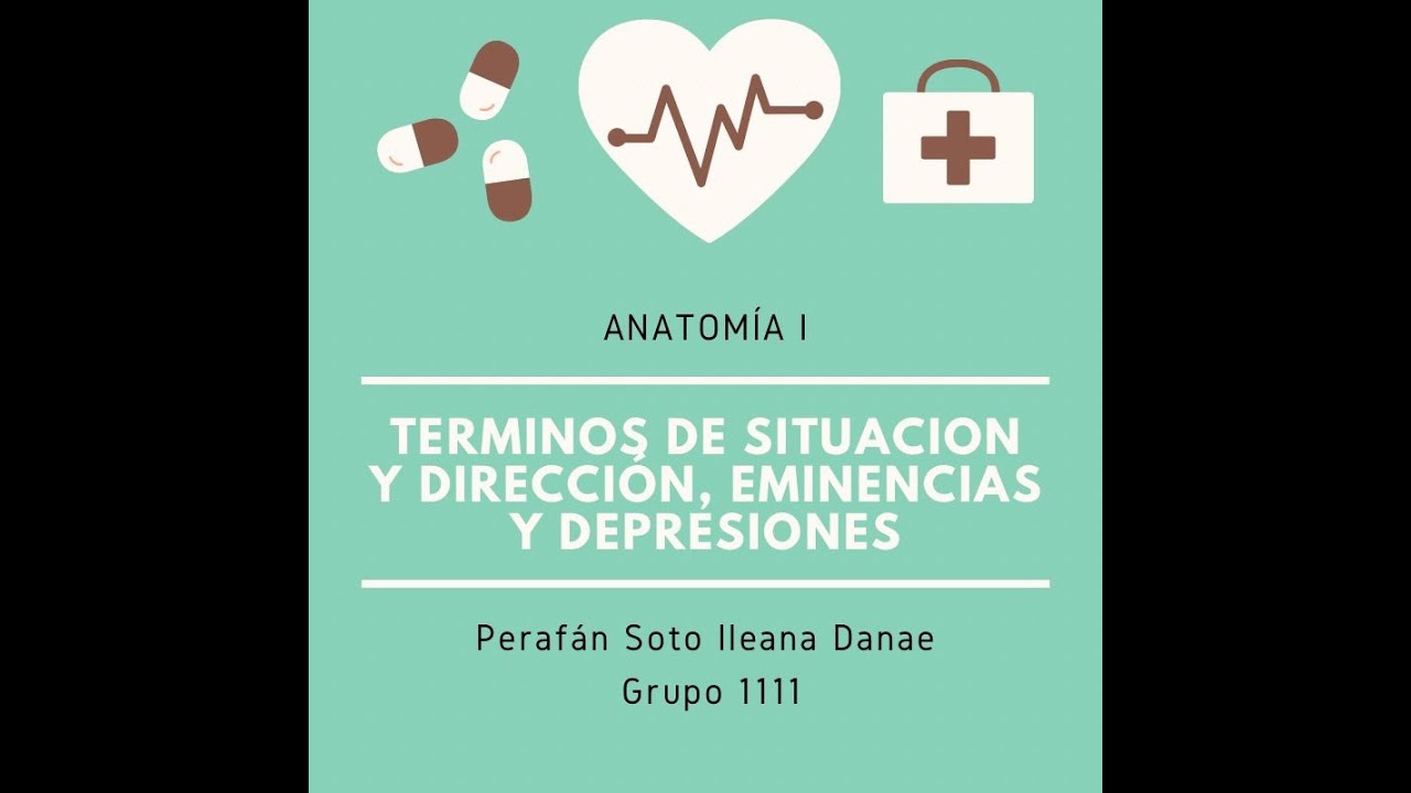 Términos de situación y dirección. Eminencias y depresiones. - Anatomía Veterinaria I 👩🏻‍⚕️✨