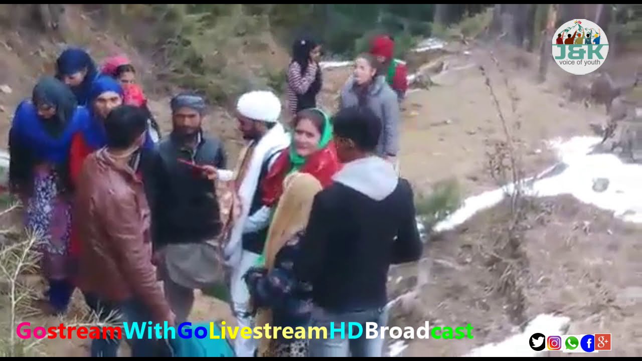 کیوی امی کہتی ہو یا استانی جی لارینا
