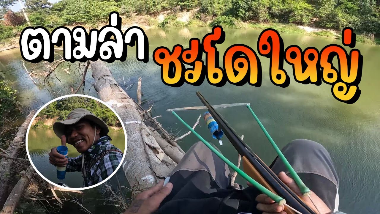 เซียนโอ๋ - ตอน ตามล่าชะโดใหญ่