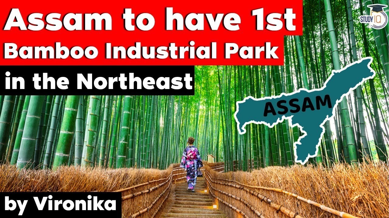 Assam to host first Bamboo Industrial Park in Northeast India - Assam Current Affairs for APSC CCE