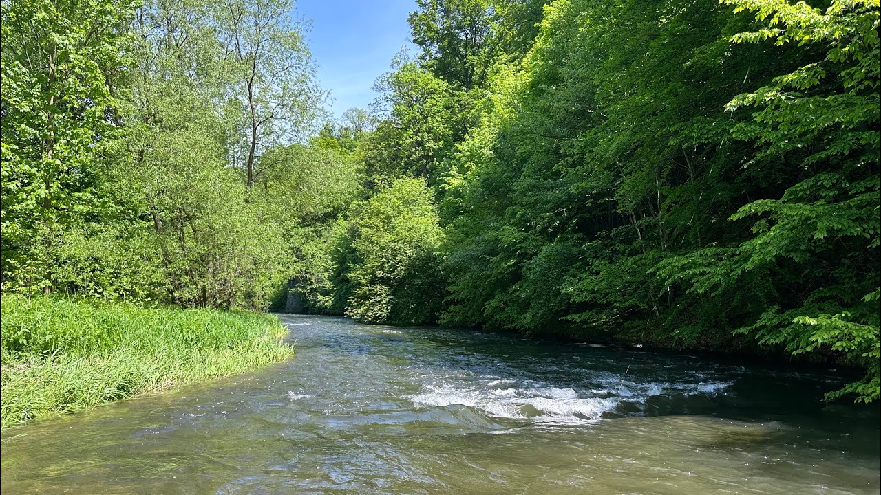 Moravice 1P - místenkový úsek