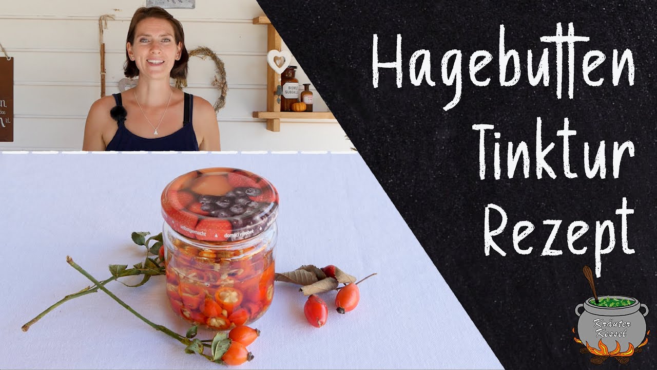 Hagebutten Tinktur Rezept 🌿 Pflanzliche Abwehrkraft f&uuml;r Herbst & Winter