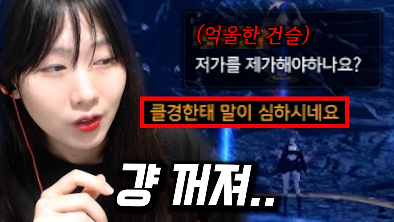 그럼 누가 해 믜친놈아 [로스트아크]