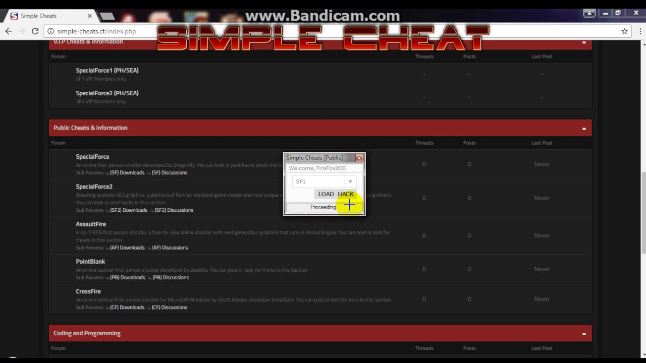 Tutorial: How to use Simple-Cheats Loader