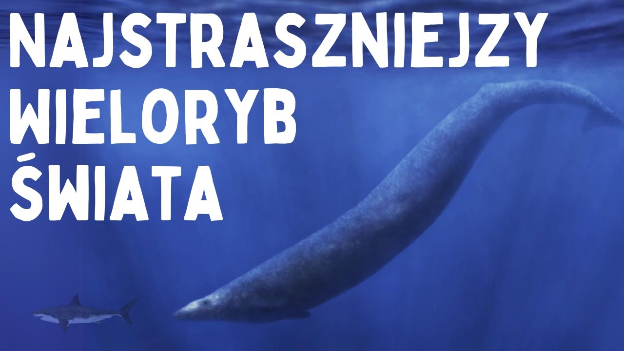 Pierwszy Superdrapieżnik Po Dinozaurach