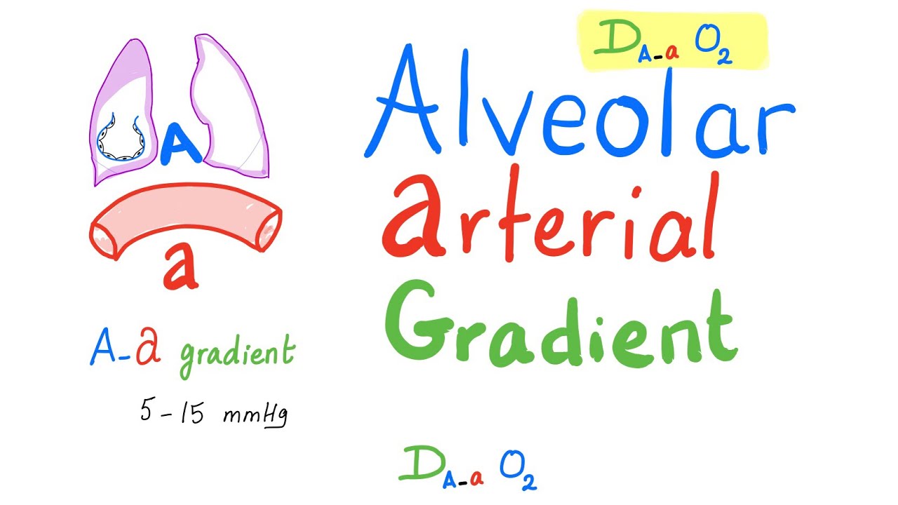 Alveolar-Arterial Gradient | (A-a) Gradient | Respiratory Physiology & Pathology..Pulmonary Medicine