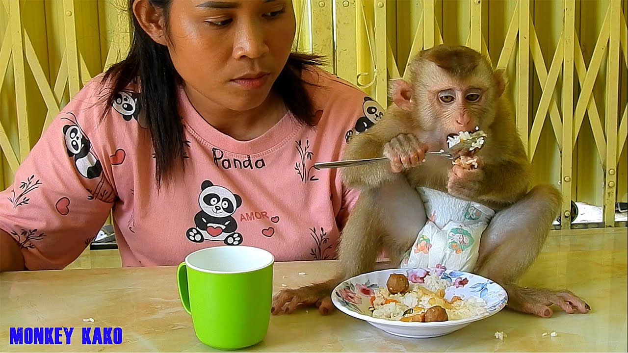 Smart Monkey Kako Enjoy Steamed Vegetable With Meatball And Rice