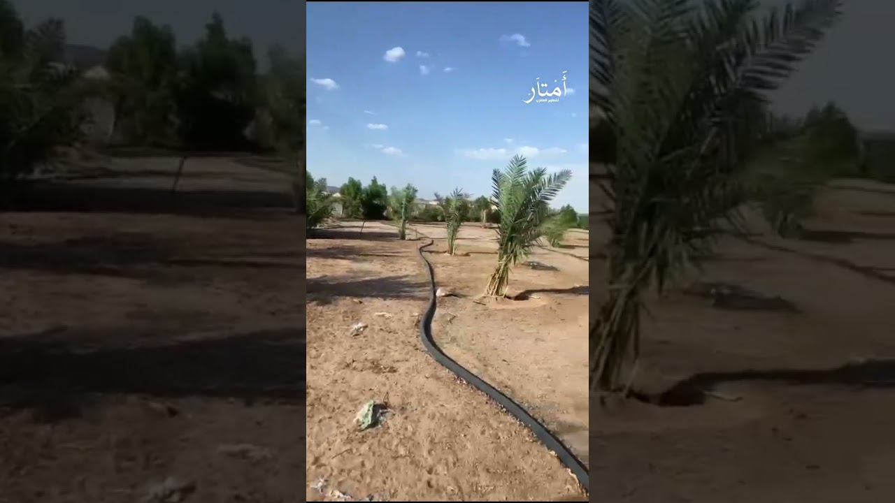 مزرعه للبيع بالقصيم الحد ١٣٠ الف