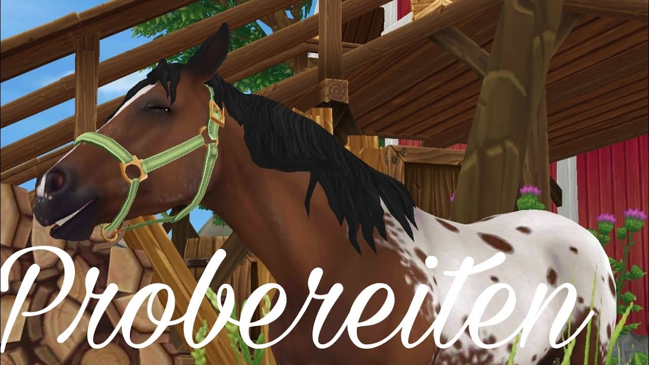 Probereiten✨ // Star Stable Online 🤍(rrp)