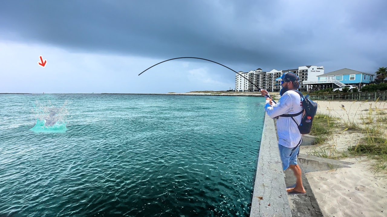 EVERYONE Comes To THIS Pier To Catch THIS! (Catch&Cook)