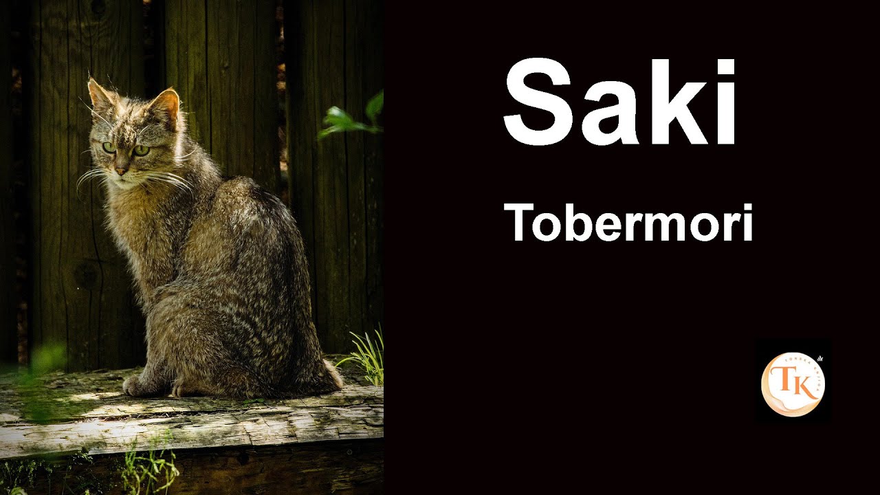 Tobermori