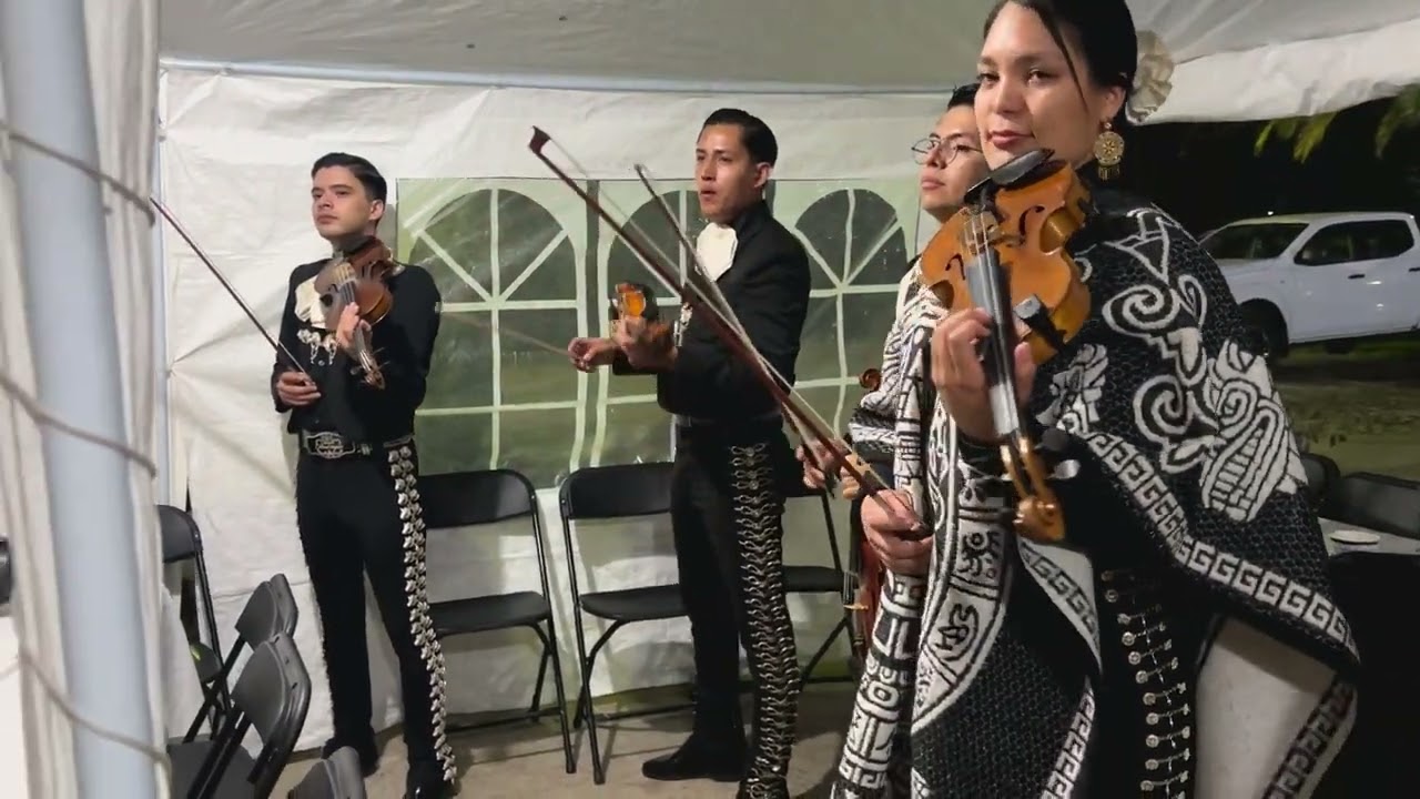 Una pagina mas - Mariachi Sta Maria Magdalena (cover)