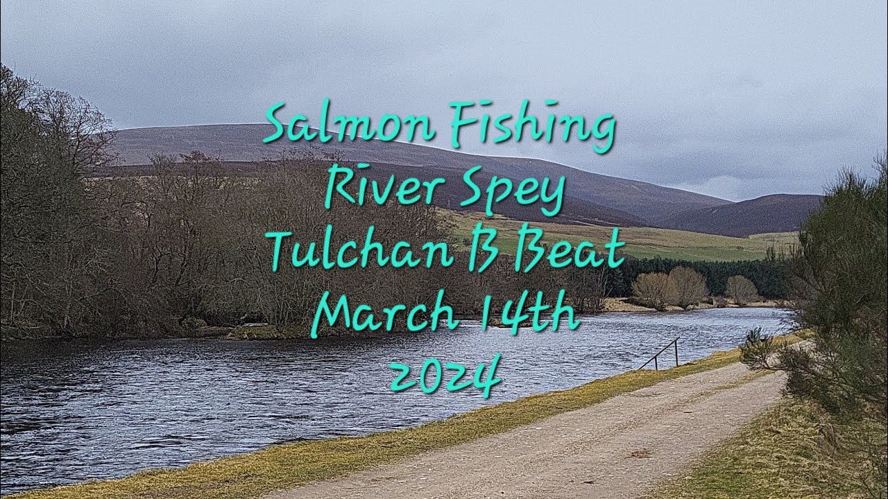 Salmon fly fishing Tulchan B beat River Spey Springer hunting
