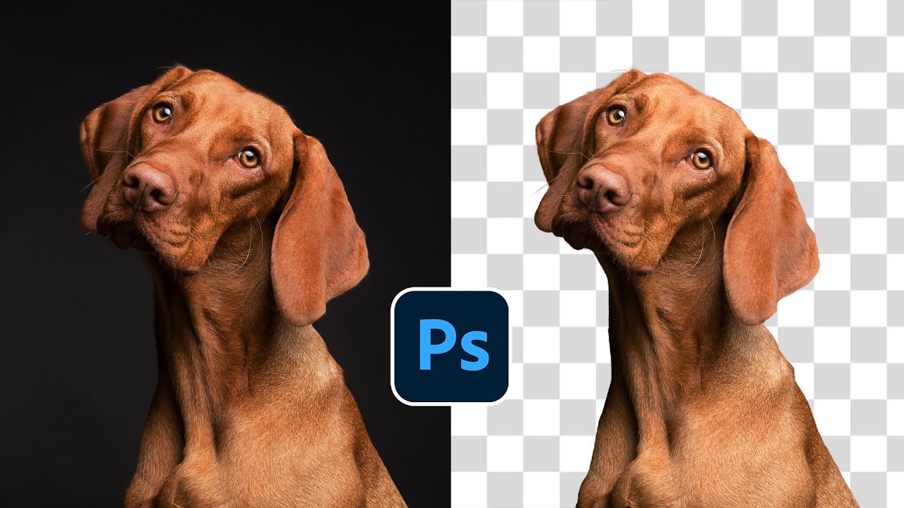 របៀបកាត់ចេញរូបភាពងាយៗក្នុងកម្មវិធី Adobe Photoshop 2021