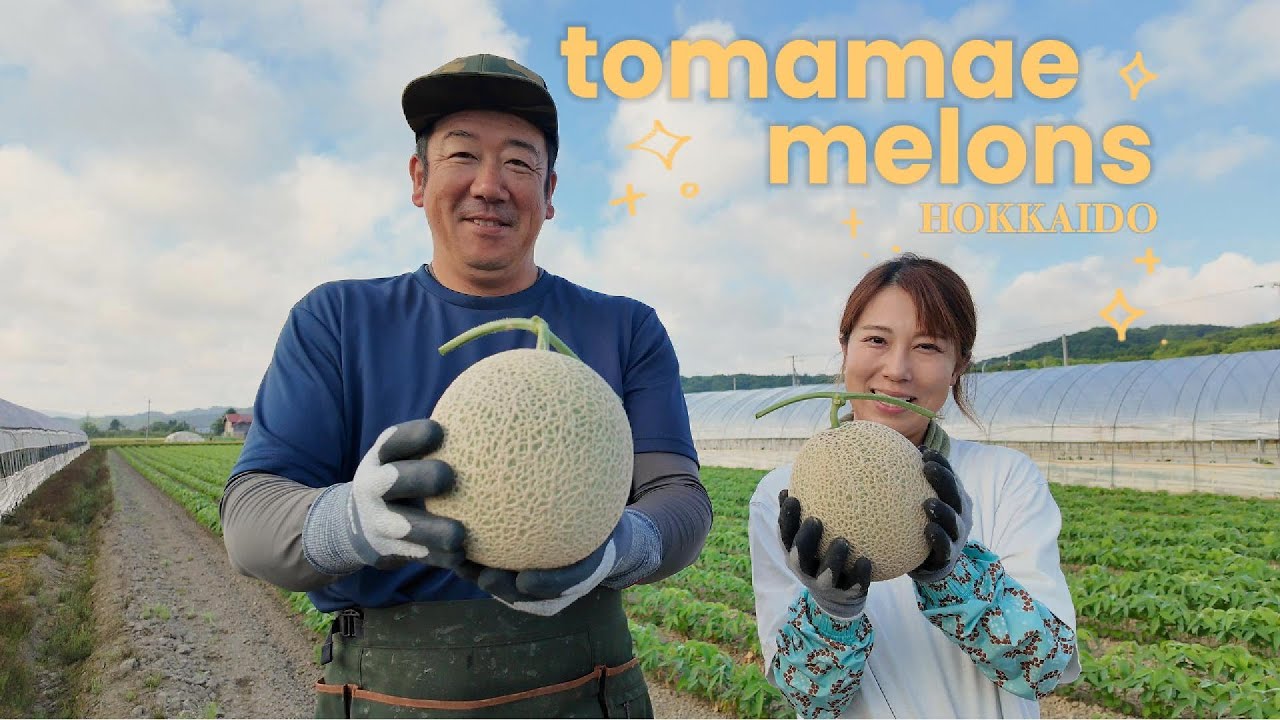 「とままえメロン Melon farm in Tomamae Hokkaido