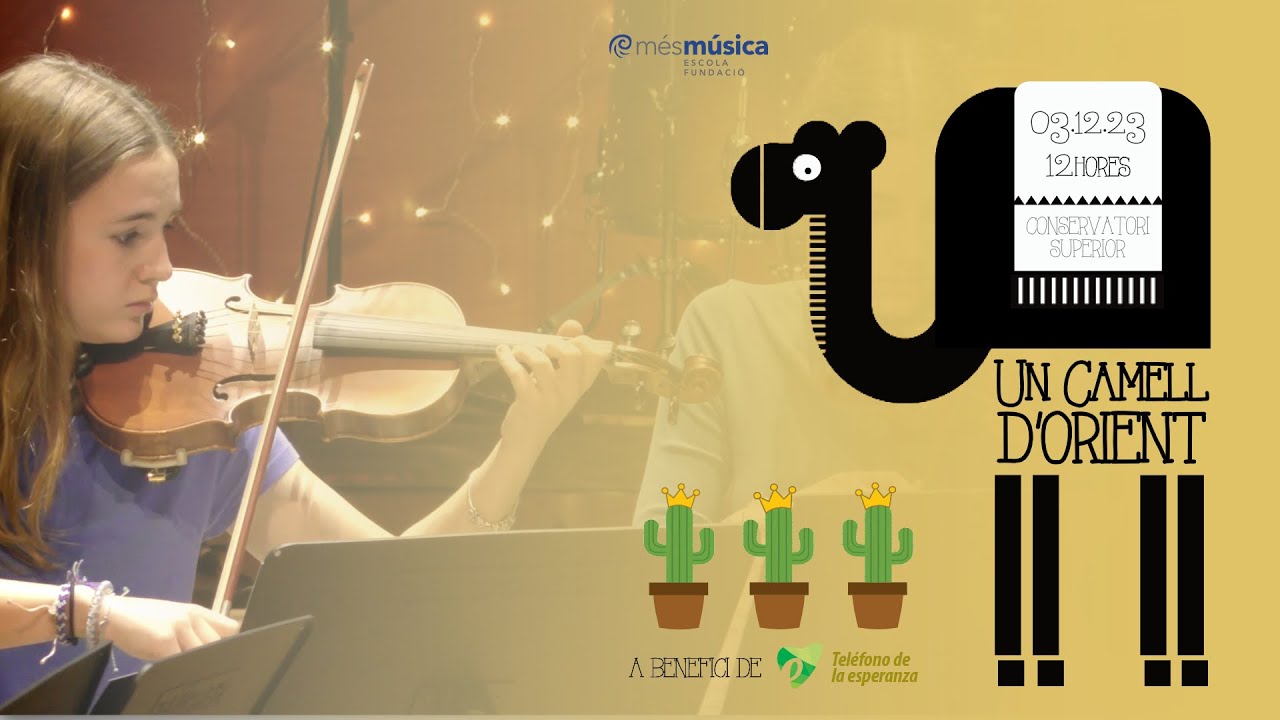 Concert de Nadal 2023 Agrupacions mésmúsica
